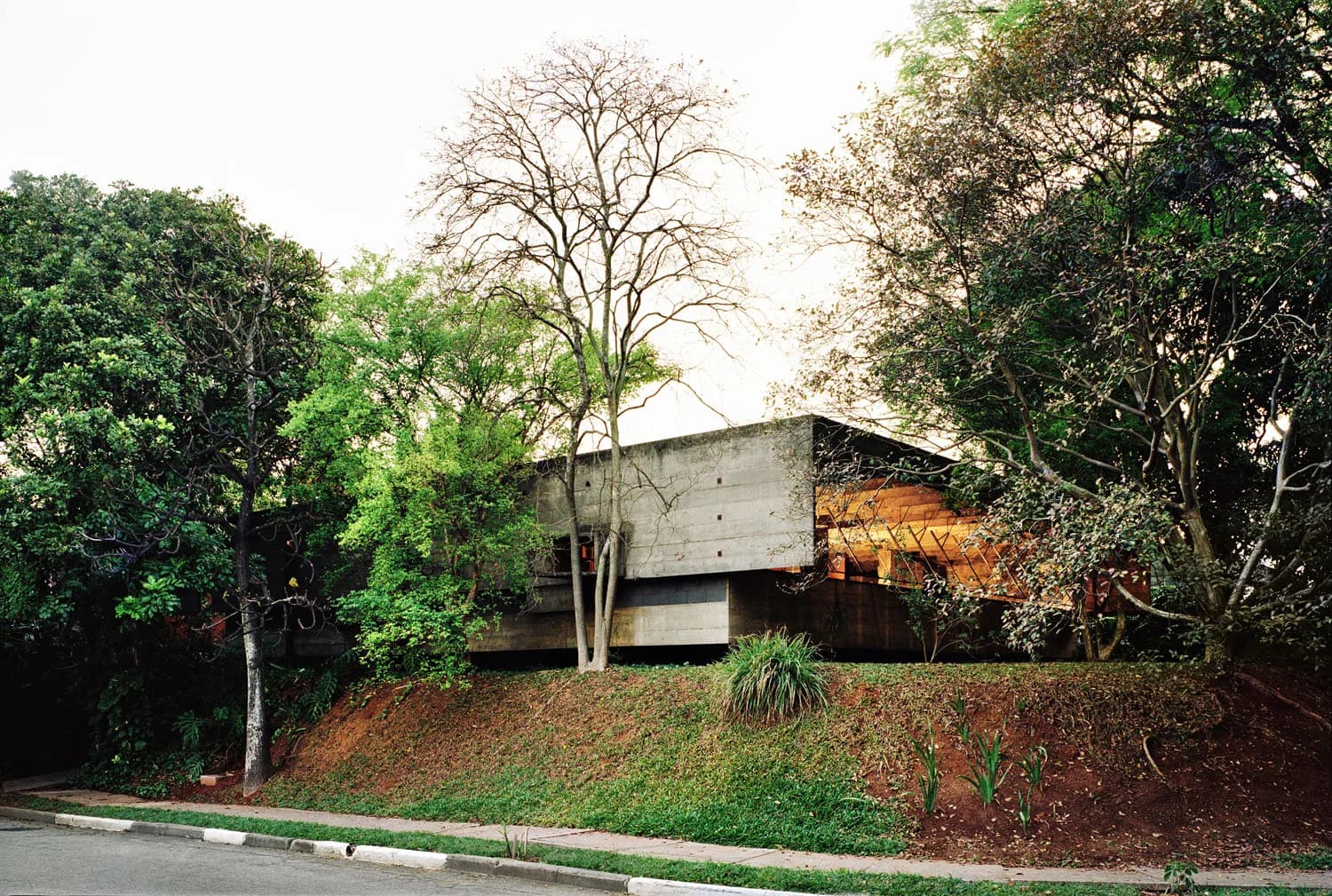 Casa Paulo Mendes da Rocha set into a wooded slope in São Paulo